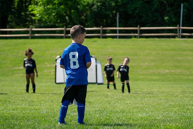 专注于进攻 专注于进攻