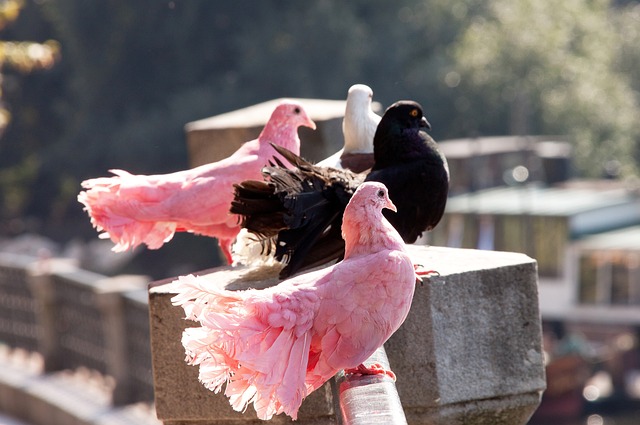提高市民的 提高市民的