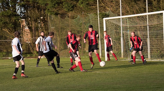 需被重视 需被重视