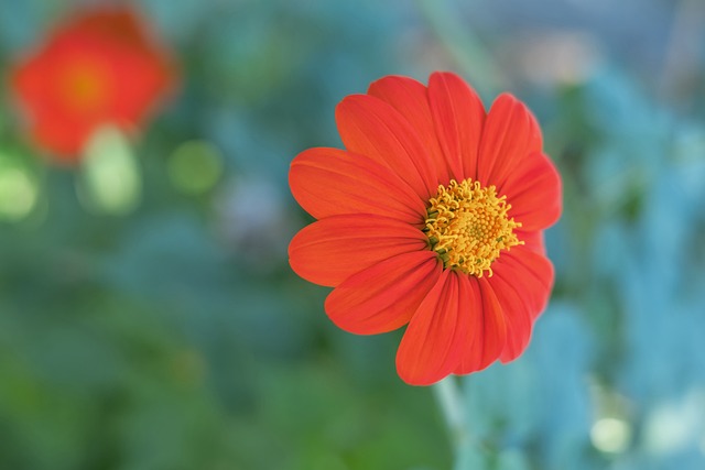 形势完全逆 形势完全逆