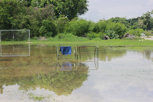 中的領導力 中的領導力
