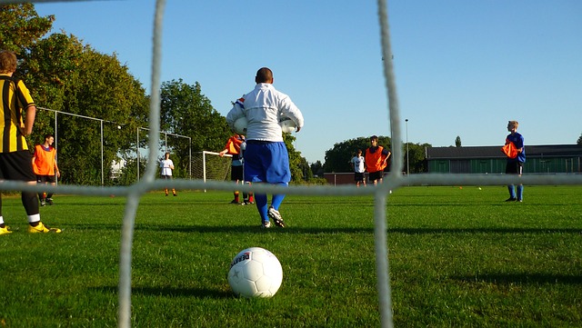 他们的到来 他们的到来