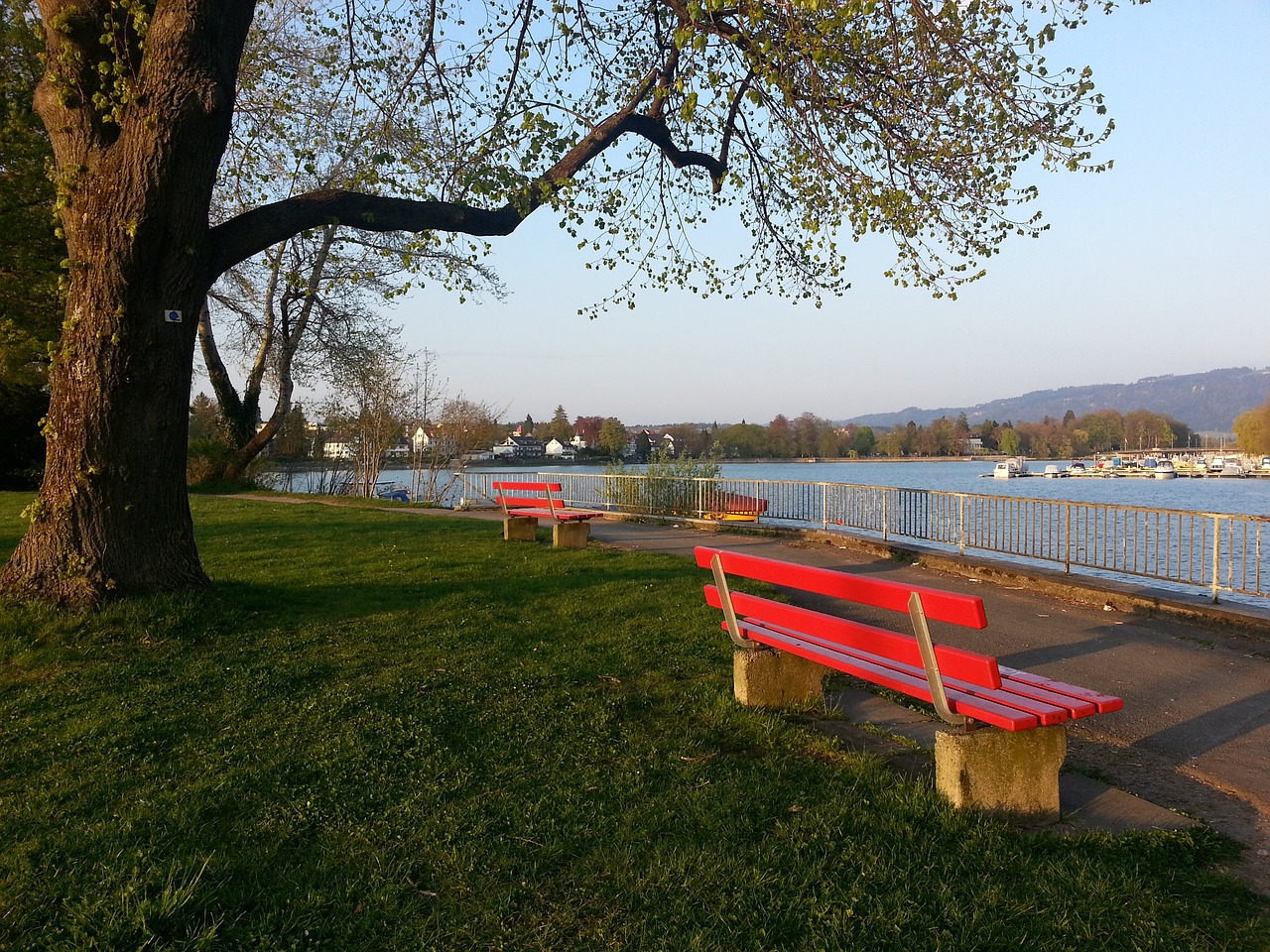 来培养了多 来培养了多