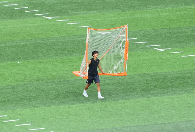 法和果敢的